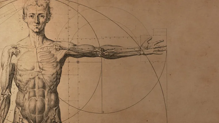 Ovih 16 organa ljudi imaju, a nisu im potrebni: Evo čemu su služili našim precima