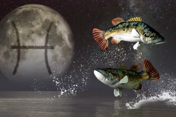 Dnevni horoskop, Ribe, 16. i 17. 2024.