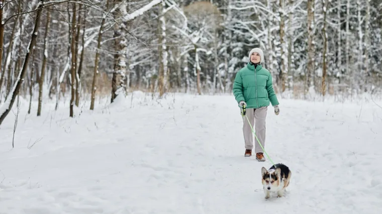 Niske temperature su opasne za neke pse: Ovih 20 pasmina trebate posebno čuvati