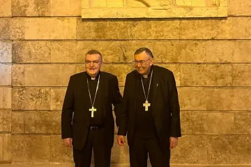 Kardinali Josip Bozanić i Vinko Puljić objavili posljednju fotografiju prije konklave