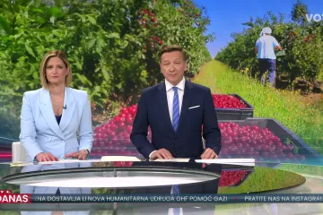 Rodile tre&scaron;nje i jagode, ali berača ni za lijek: Jedna uzgajivačica doskočila problemu