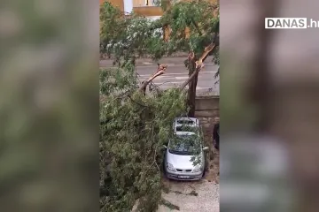 Žestoko nevrijeme poharalo Rovinj i Pulu: Padala stabla, oštećeni auti...