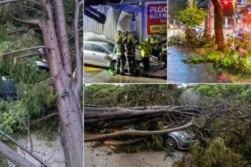 Nevrijeme protutnjalo dijelom Hrvatske: Pogledajte nevjerojatne prizore iščupanih stabala