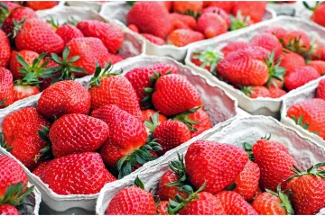 Jagode pod povećalom: Skupo ne znači i sigurno, evo koje su prošle test bez pesticida