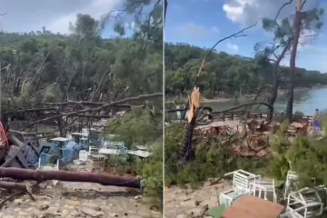 Stablo skoro poklopilo bivšeg trenera Blanke Vlašić: 'Bacio sam se da ga spasim'