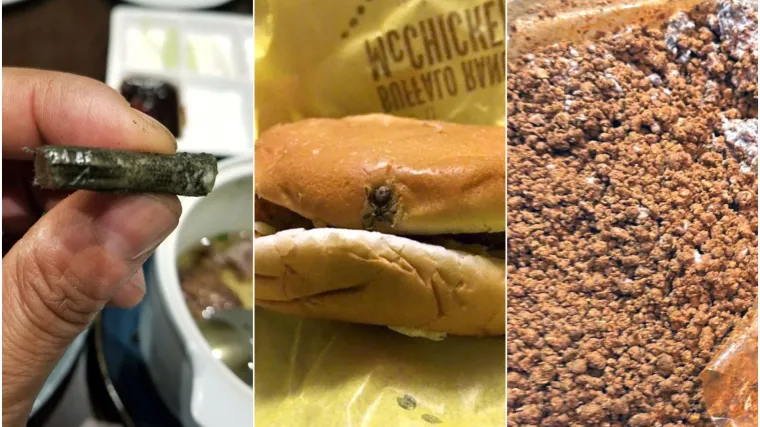 Kamerama su zabilježili najgora iskustva u restoranima, neki od prizora doista su užasavajući