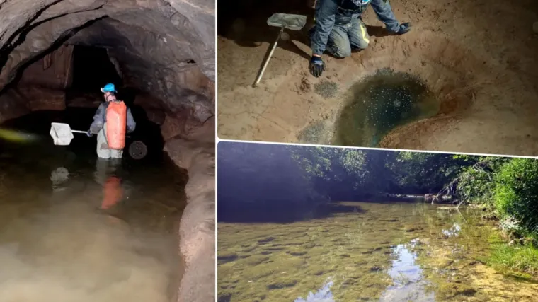 Teške fekalije zagađuju Koranu, katastrofa u špilji Adios: Potpuno je mrtva, endemske ribe uništene