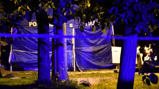 Ovo je mjesto zločina: Opsadno stanje na mjestu gdje je ubijen muškarac (61)