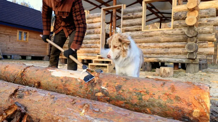 Sam samcat gradi kuću od nule, dosad je potrošio manje od 4 tisuće eura i stvorio nešto predivno