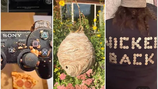 Zapanjit će vas što sve ljudi prodaju preko neta i koliko za to traže, ovo su samo neki od najluđih primjera