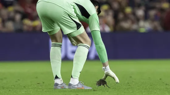 Nepozvani gost na utakmici Belgije i Walesa: Pogledajte kako je štakor nasamario Realovu zvijzdu