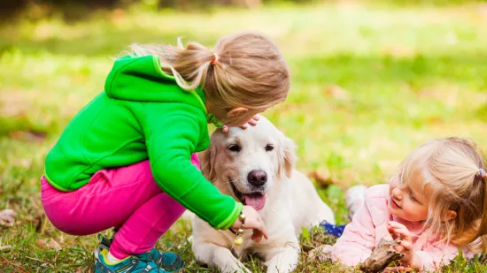 Ovih 14 pasmina pasa odlično se slažu s djecom: Strpljivi su i puni ljubavi