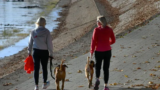 Dvije plavuše privukle sve poglede u opuštenoj šetnji uz Savu: Pogledajte atmosferu