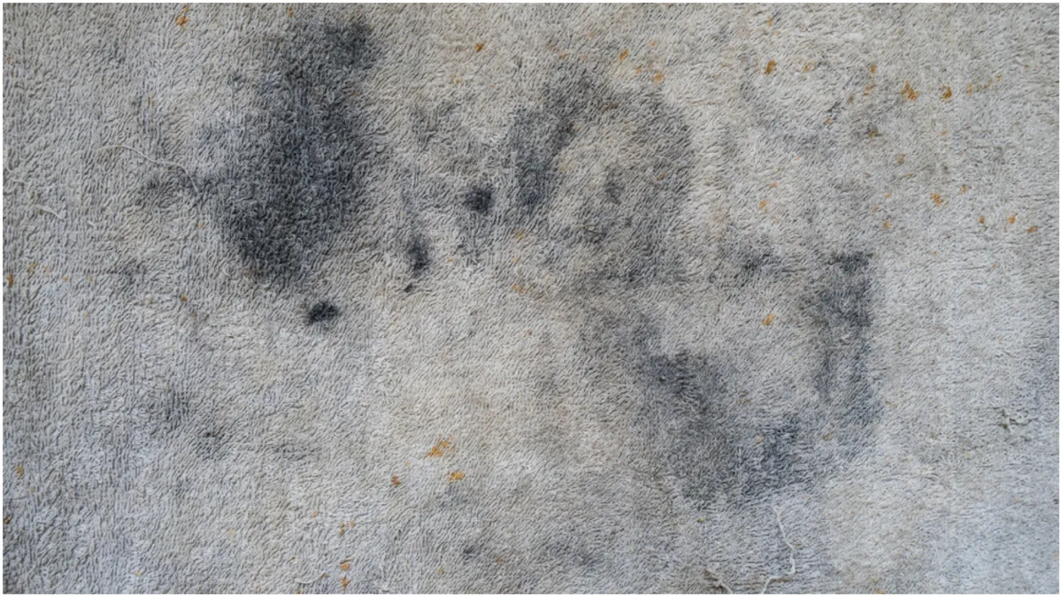 Riješite se mrlja na tepihu: Uz pomoć ova dva sastojka iz kuhinje, problem će nestati