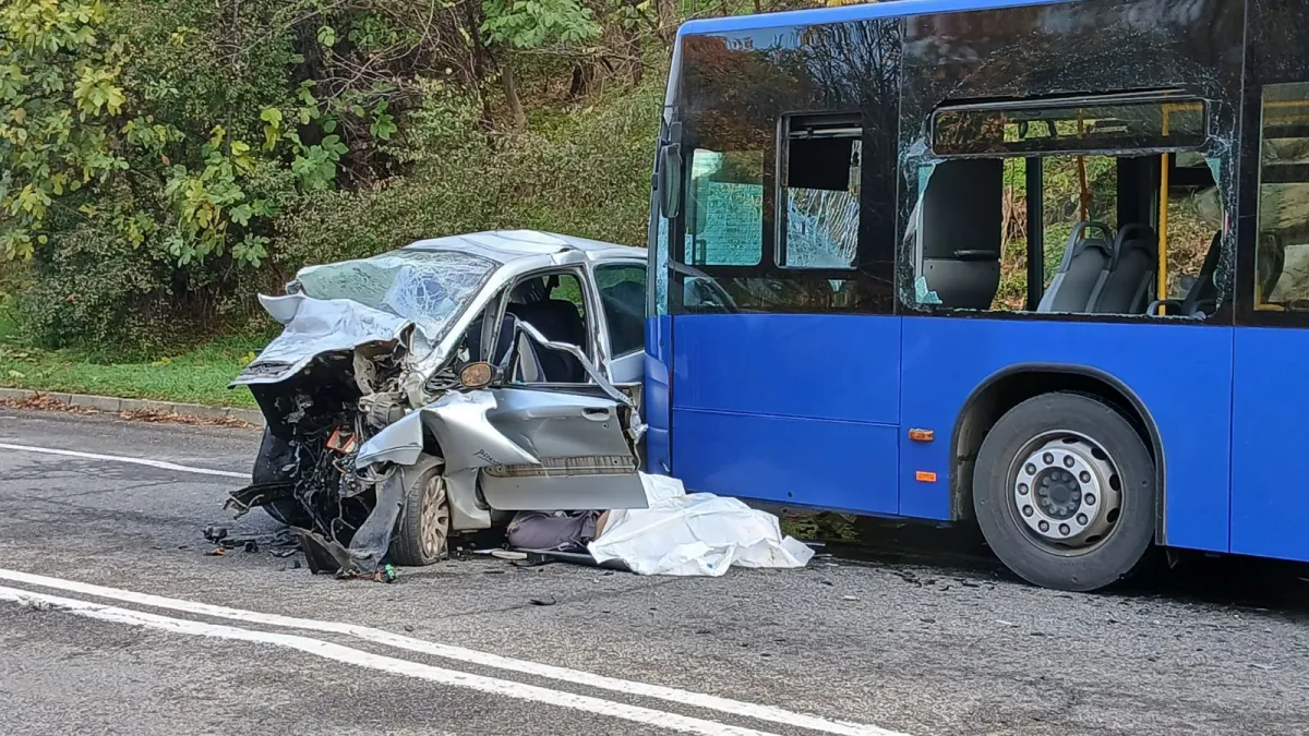 Auto zgužvan nakon sudara s autobusom, vozač umro na mjestu: U bolnici završilo osam ljudi