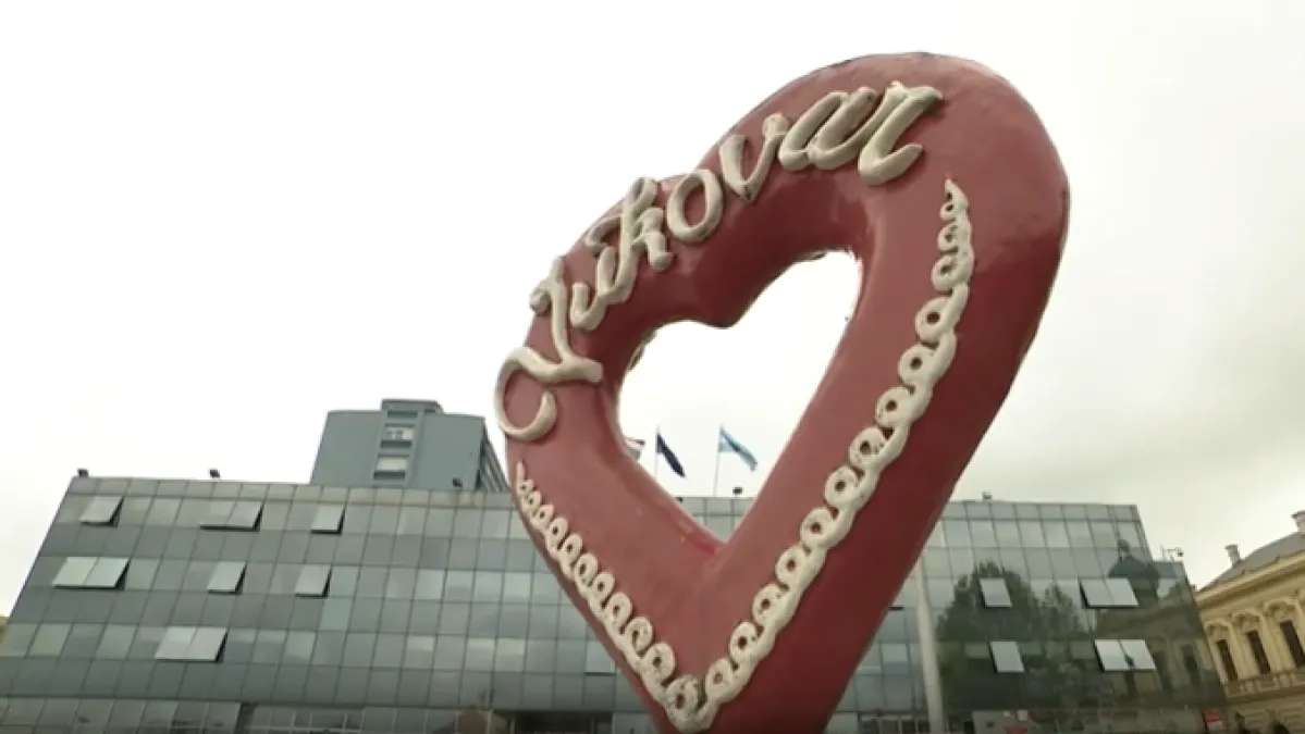 Prva osuda ljevice zbog izložbe o Dejanu Medakoviću! Hoće li se odgoditi izložba 'Srpkinja' u Vukovaru?