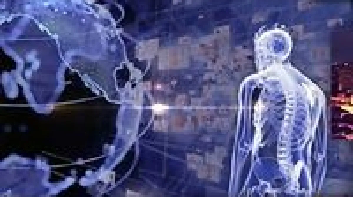 Od krivotvorenih teglica meda do bika Miška u Gračacu: Ovo je Direktov pregled dana