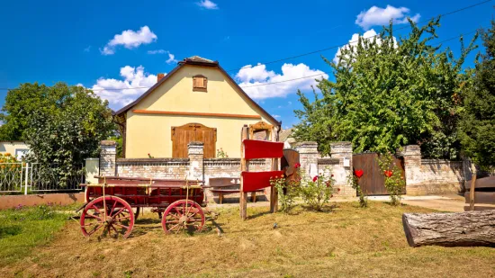 Dokaži da si pravi Slavonac i da razumiješ značenja ovih lokalnih izraza