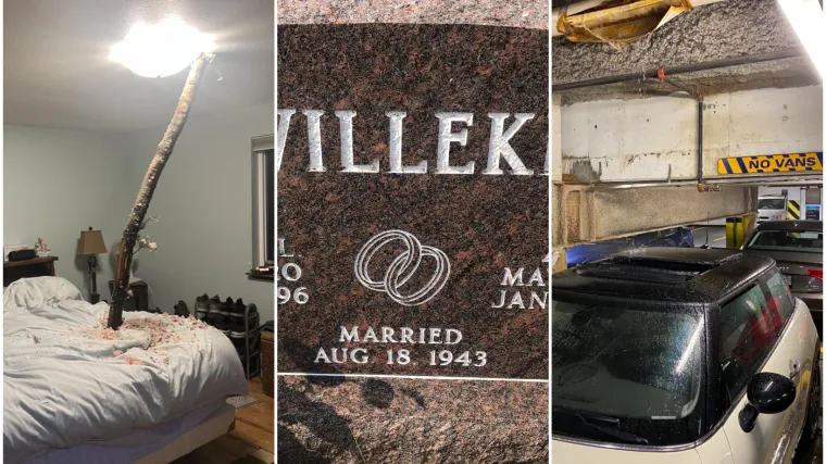 Slučajnost ili sudbina? Ove nevjerojatne situacije natjerat će vas da se dobro zamislite