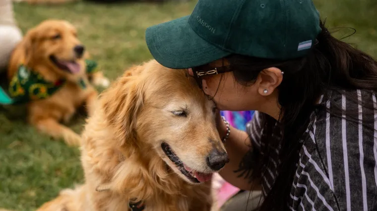 Nevjerojatno! Više od 1.800 zlatnih retrivera srušilo rekord i osvojilo srca diljem svijeta