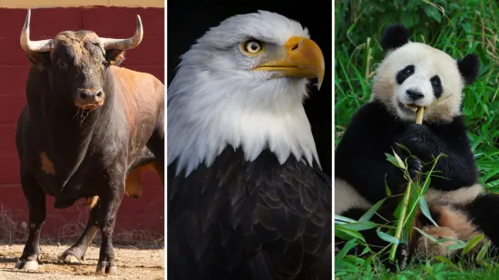 Koje su životinje nacionalni simboli ovih država? Pazi! Pitanja su zahtjevna