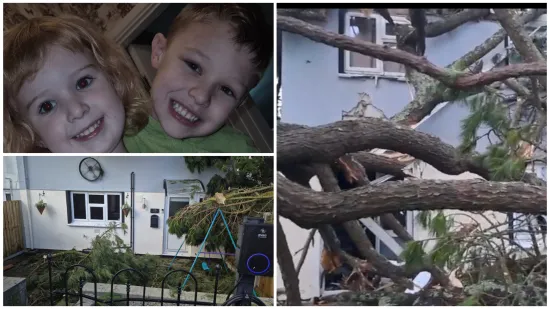 Pogledajte kakva je grdosija zdrobila kuću: 'Odjednom se dogodio taj ogroman tresak... samo sam vri&scaron;tala'