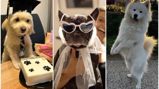 Oprez: Ove preslatke nju&scaron;ke mogle bi vam uljep&scaron;ati dan! Pogledajte koga ste nam sve poslali