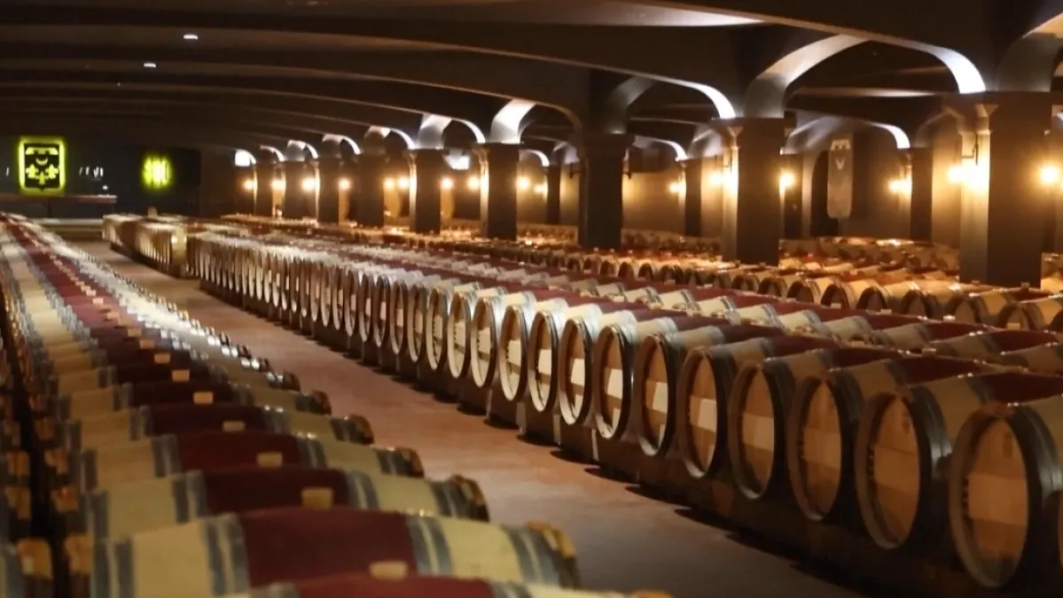 Vino i maslinovo ulje bez carina? Sporazum s Indijom donosi veliku priliku za Hrvatsku Kép