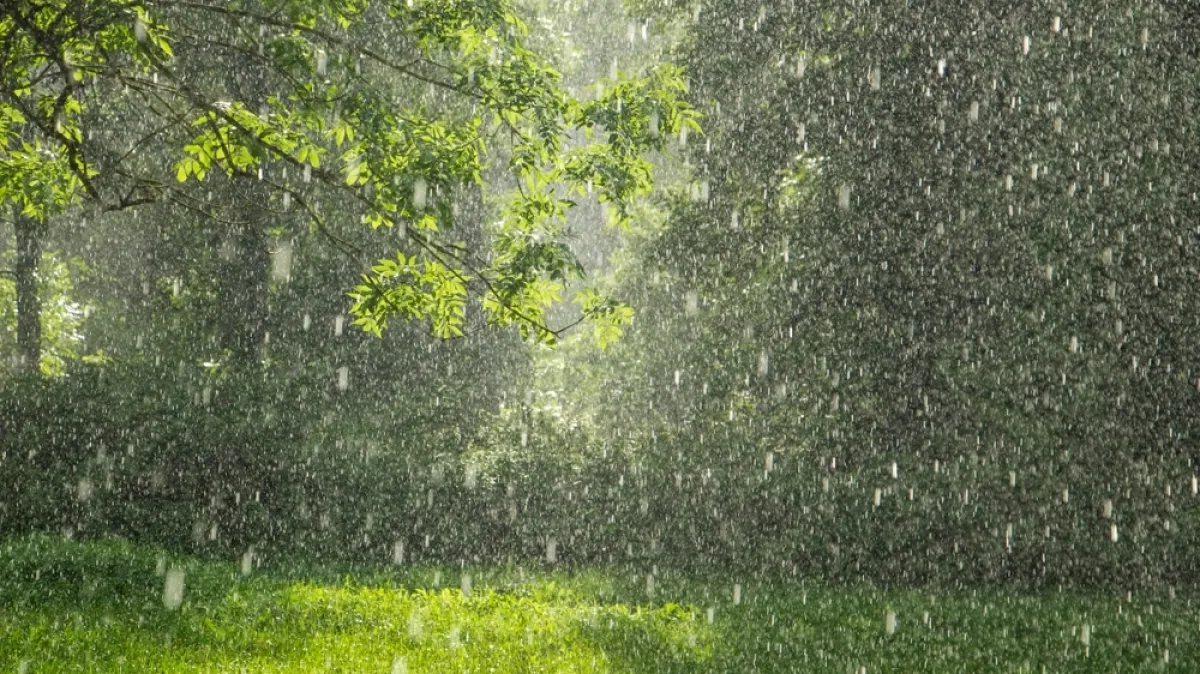 [KVIZ] Znaš li baš sve o padalinama?