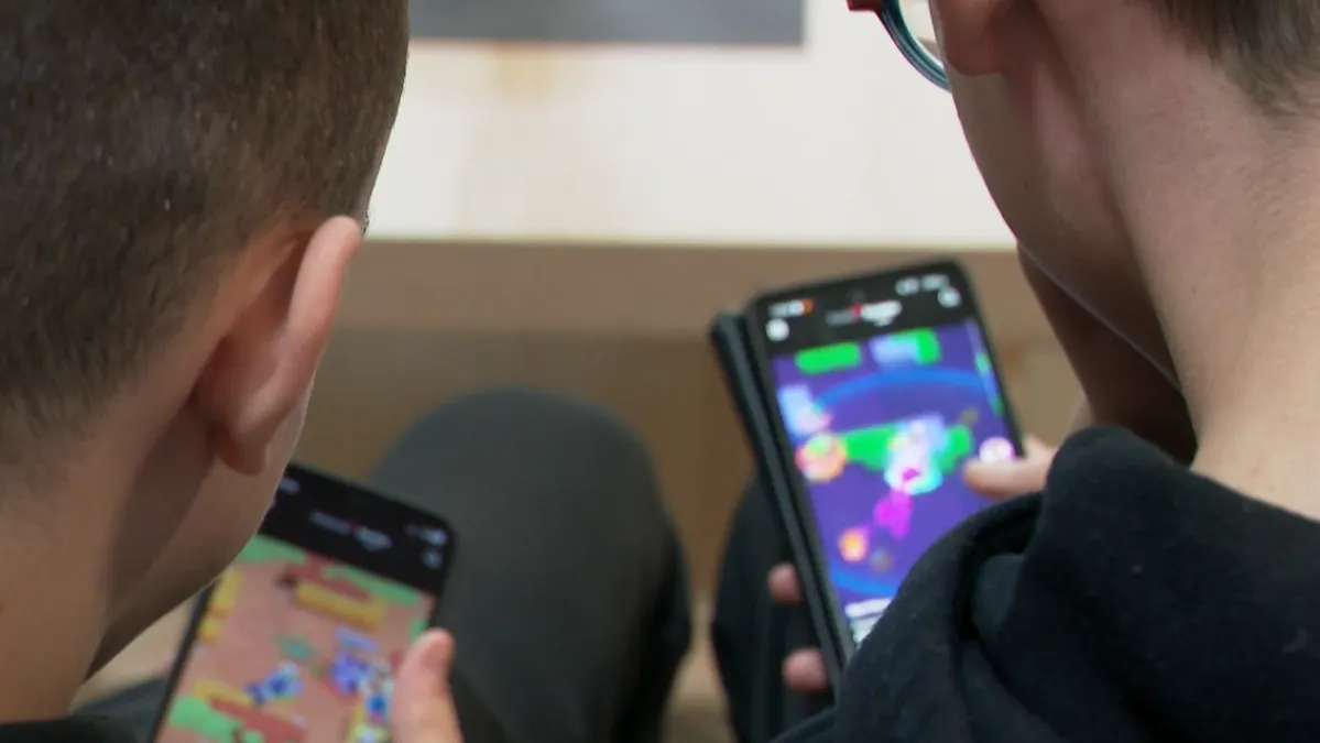 Zabrinjavajući porast kaznenih djela među mladima na internetu: Kako zaštititi djecu?