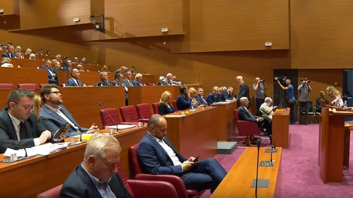 U aktualnom sazivu Sabora sjedi osam liječnika: Evo što ih motivira