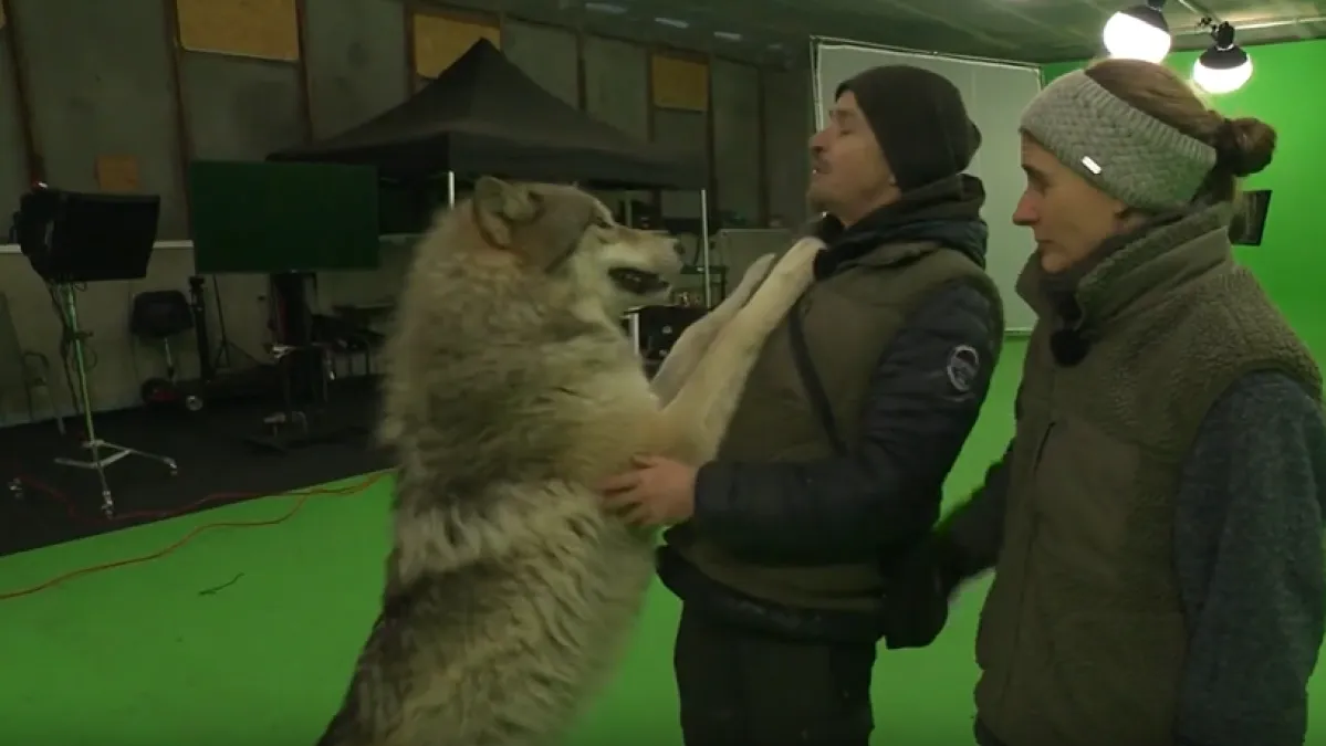 Vuk Miro dijelio je kadar s Pamelom Anderson i Dua Lipom