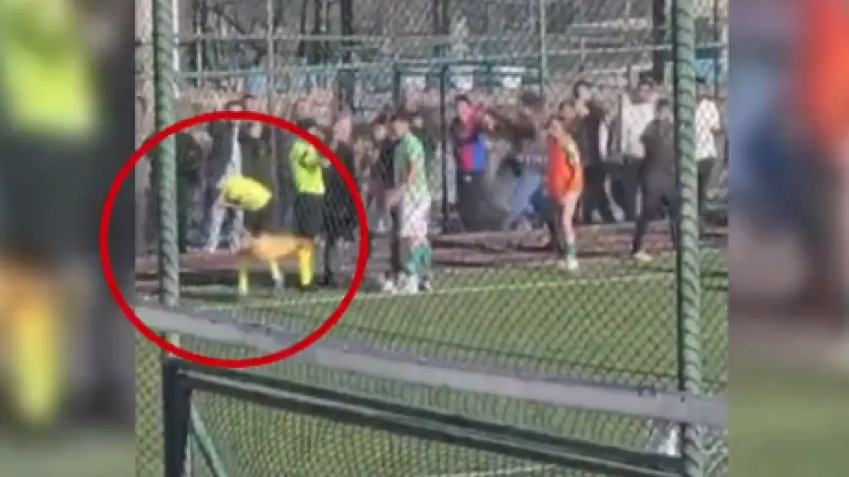 Horor u Turskoj: Navijač bacio predmet na pomoćnog suca, utakmica odmah prekinuta Kép