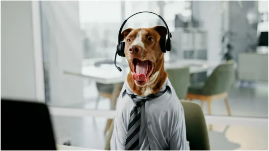 Spa&scaron;avaju živote, čuvaju okoli&scaron; i sudjeluju u kriminalu: Životinje sa zaista neobičnim poslovima