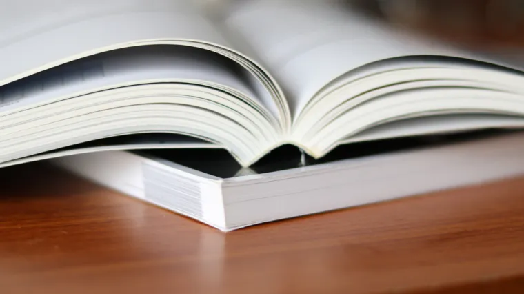 Ako zna&scaron; &scaron;to su sinonimi i antonimi, bez gre&scaron;ke će&scaron; rije&scaron;iti ovaj kviz