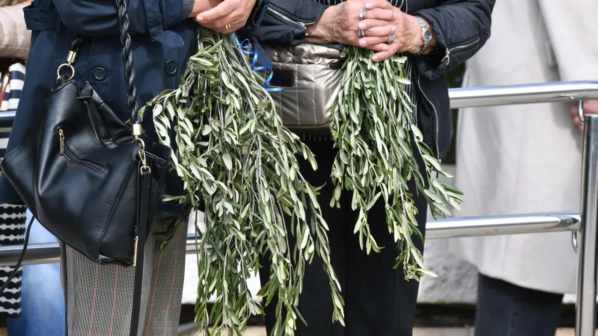 Danas se slavi Cvjetnica: Znate li zašto se blagosivljaju maslinove grančice?