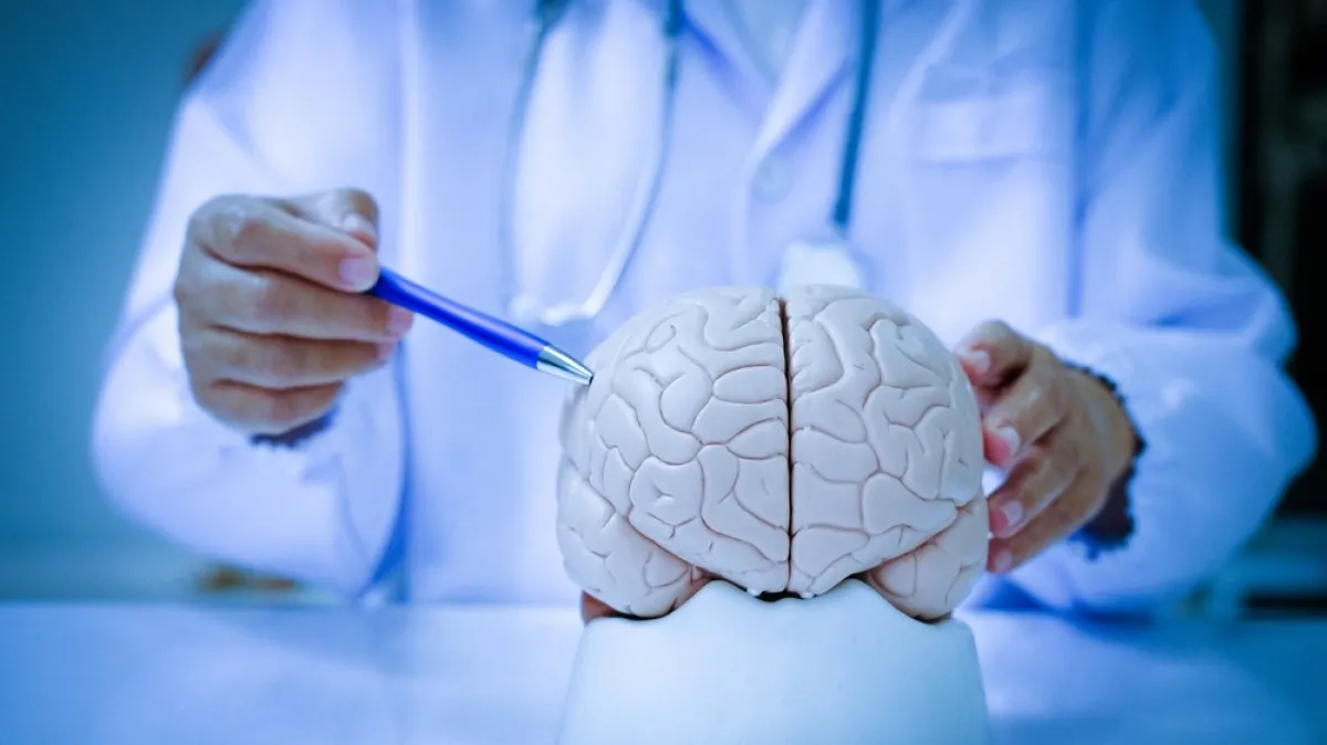 [KVIZ] Jeste li stručnjak koji zna sve o mozgu, neuronima i impulsima?