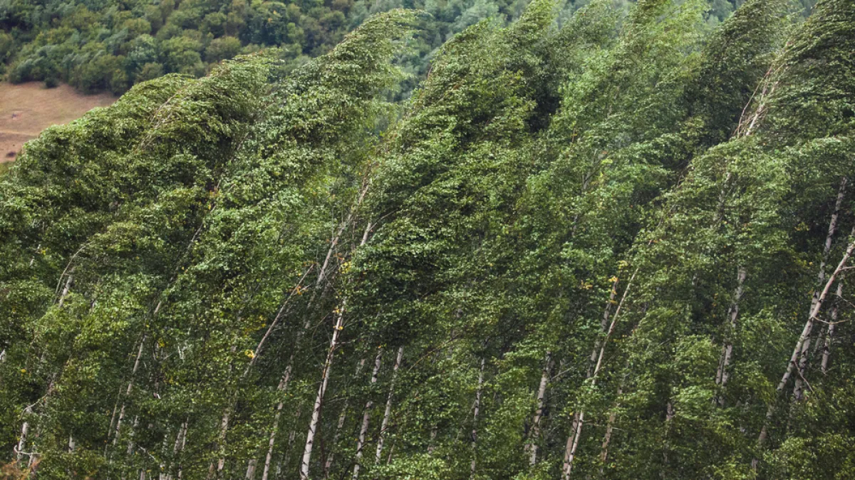 [KVIZ] Koliko znate o vjetrovima?