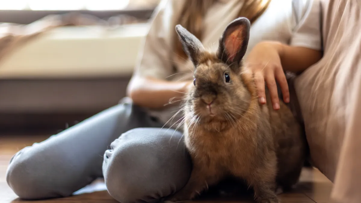 Više od mekane njuške i dugih ušiju: Ovoj slatkoj dlakavoj loptici mrkva uopće nije omiljena hrana