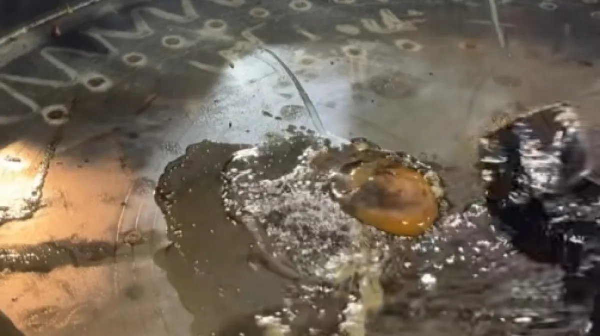 Malo ulične hrane za sve sklone avanturi