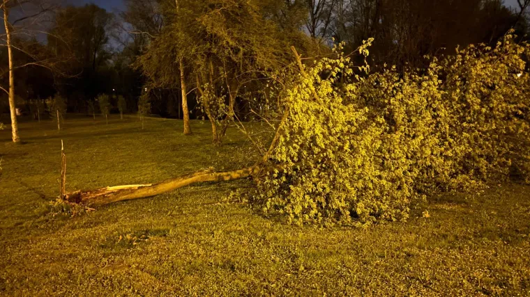 Oluja 'počupala' Bundek: Pogledajte &scaron;to je ostalo od omiljenog zagrebačkog parka