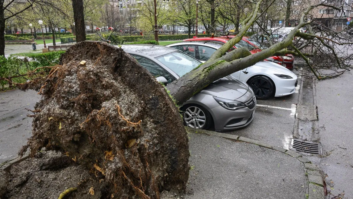 Tomašević otkrio koliku odštetu možete očekivati: 'Ne dajemo 5000 eura za skupocjena vozila'
