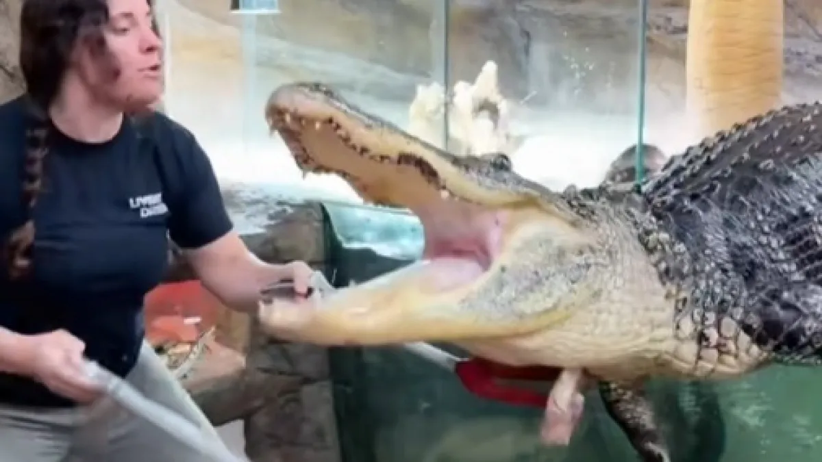 Za koliku biste plaću radili ovaj posao?