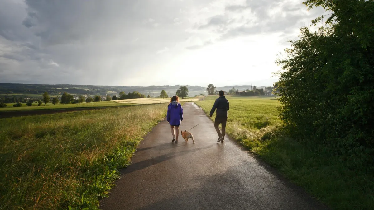 Par minuta ove aktivnosti dnevno čuva srce i mozak: Smanjuje rizik od teških bolesti