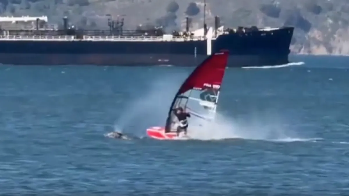 Surfer se sudario s golemim kitom: Lansirao ga je s daske i bacio u vodu