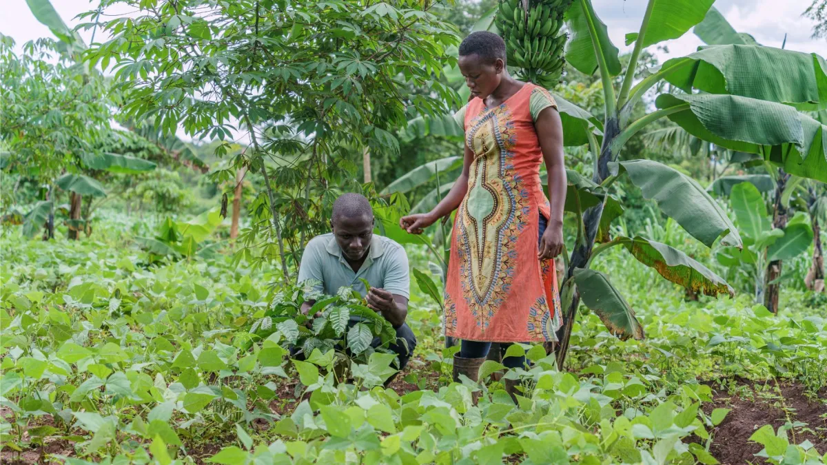 25 godina podrške obiteljima i zajednicama koje se bave uzgojem kave