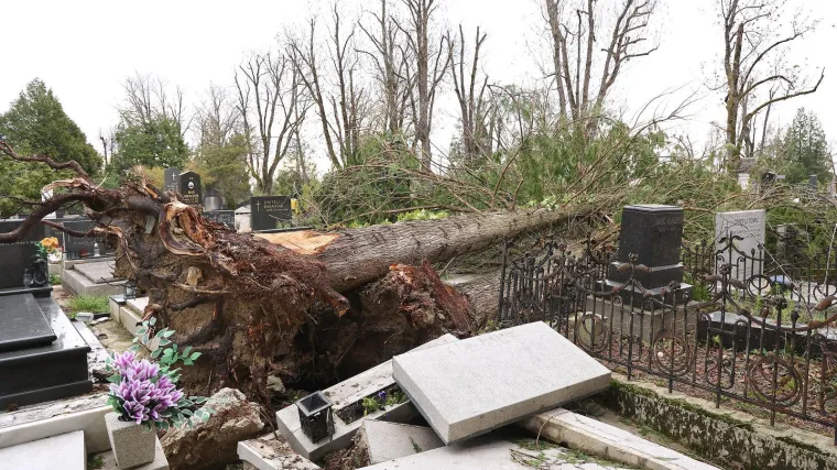 Uni&scaron;teni spomenici i neprepoznatljiv Mirogoj nakon oluje: Toma&scaron;ević najavio pomoć građanima