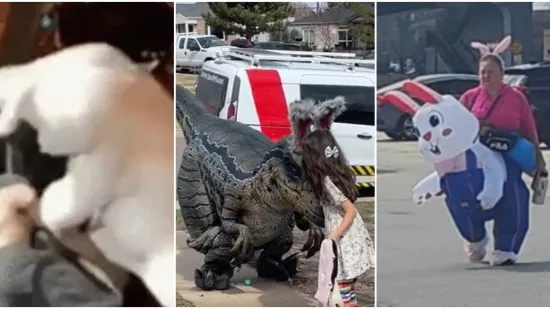 Sretan Uskrs uz najluđe prizore podijeljene na internetu: Neki će vas nasmijati do suza