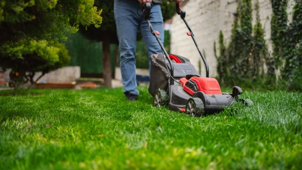 Za gušći i zeleniji travnjak iskoristite ovaj mali trik: Rezultati će biti divni i dugoročni