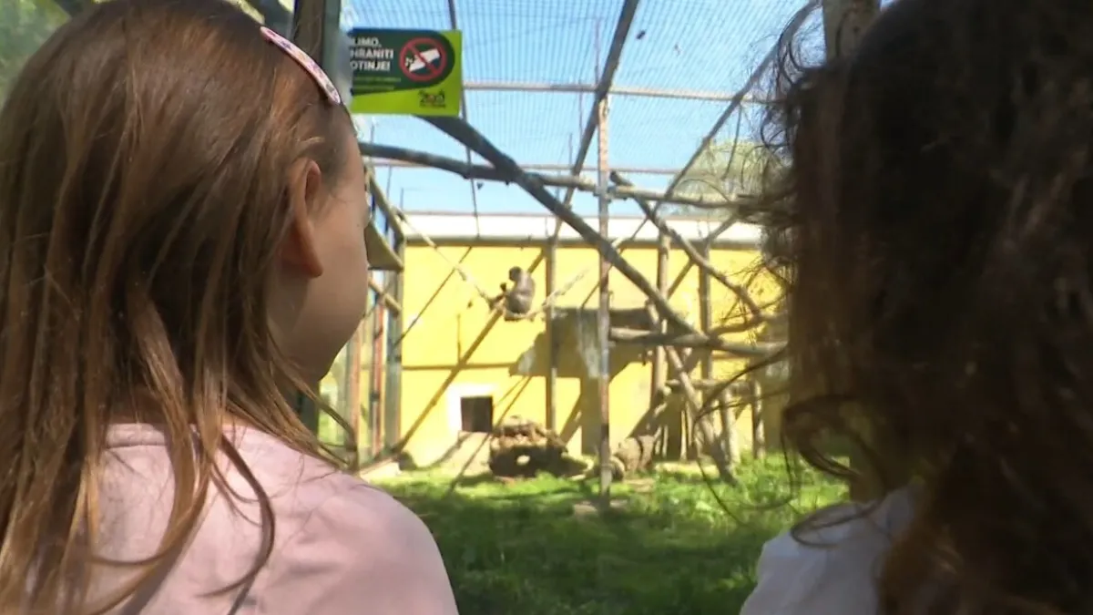 Obitelji pohrlile u osječki Zoo: 'S ovim smo na četvrtini cjelogodišnjeg prometa'